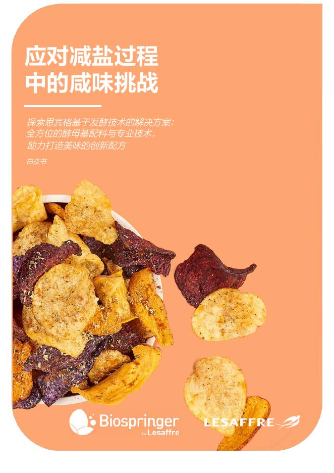 思宾格：2025年应对减盐过程中的咸味挑战白皮书海报