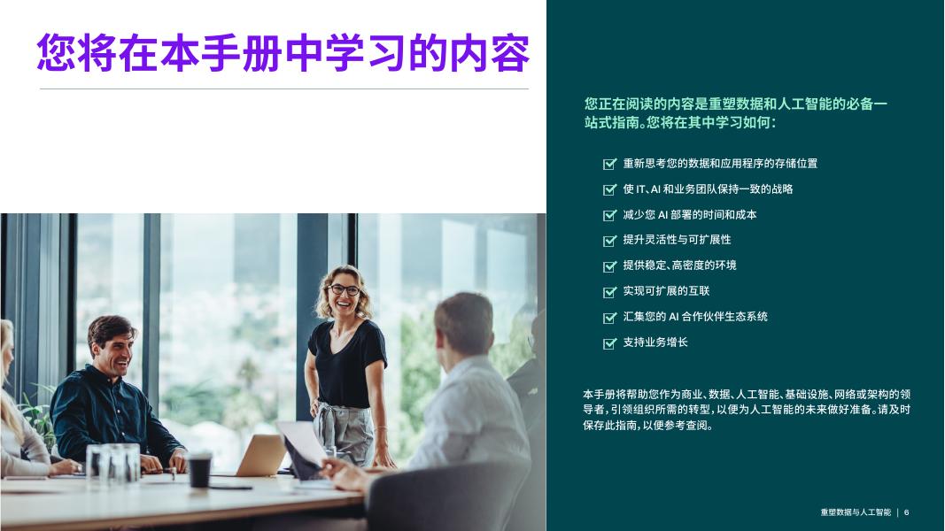 理瑞通：2025年重塑数据与人工智能：打造面向未来的数字基础设施白皮书_第6页