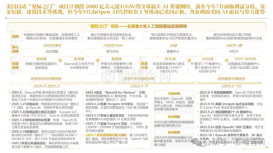 鼎帷咨询：2025年英伟达人工智能发展战略研究报告_第9页