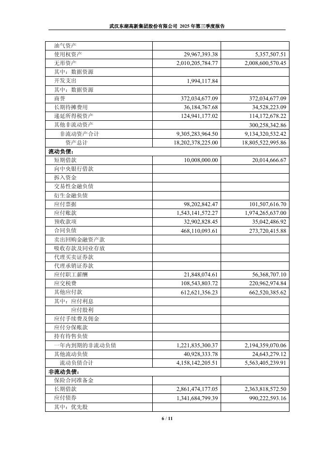 600133-东湖高新：2025年第三季度报告_第6页