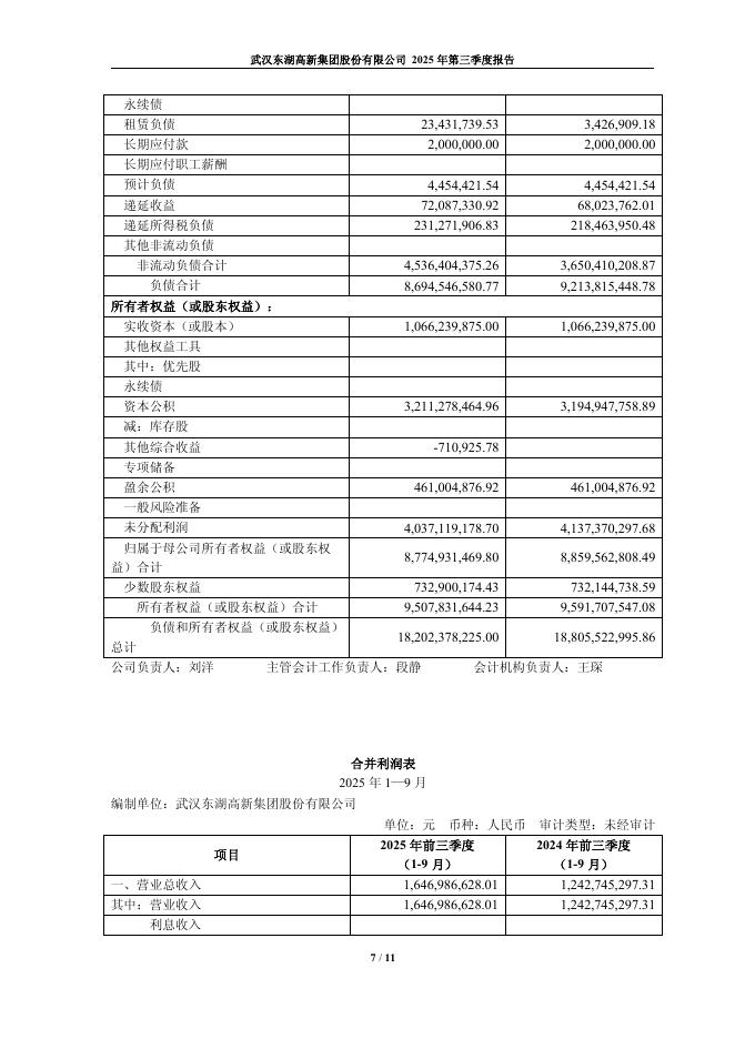 600133-东湖高新：2025年第三季度报告_第7页