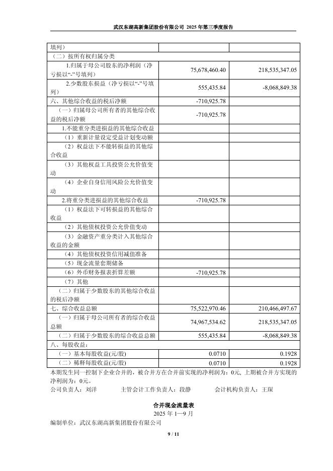 600133-东湖高新：2025年第三季度报告_第9页