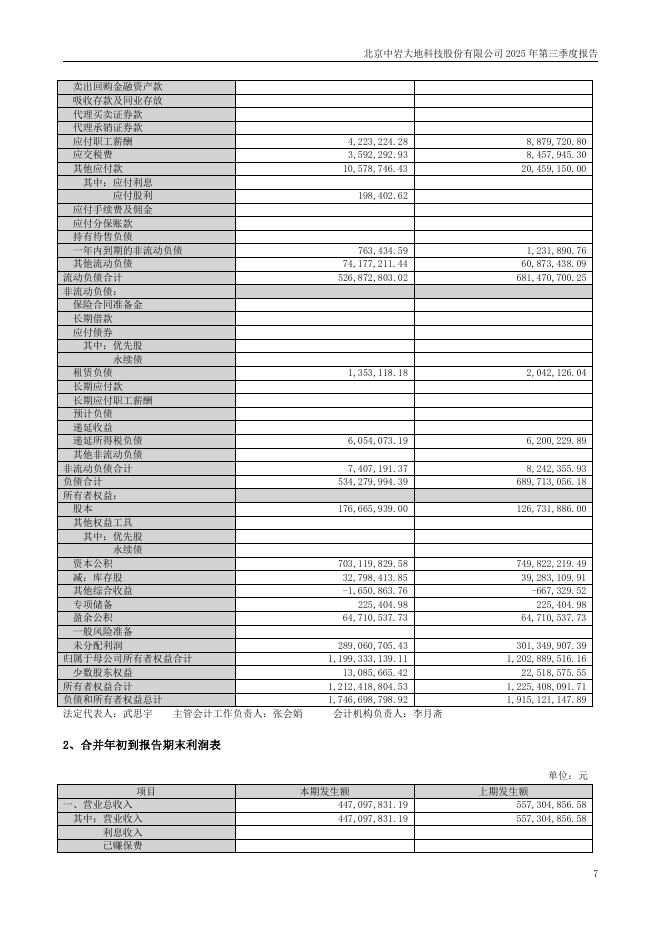 003001-中岩大地：2025年三季度报告_第7页