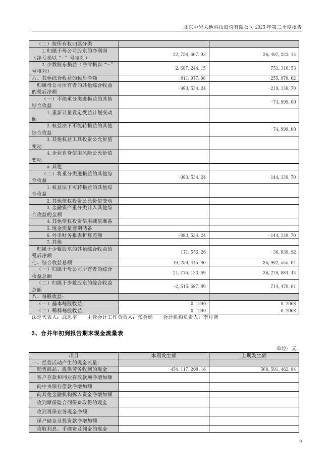 003001-中岩大地：2025年三季度报告_第9页