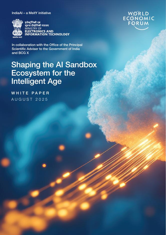 世界经济论坛：2025年塑造智能时代的AI沙盒生态系统报告（英文版）海报