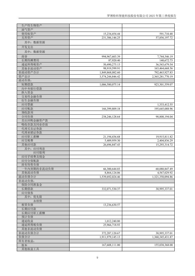 300757-罗博特科：罗博特科智能科技股份有限公司2025年第三季度报告(更正后)_第9页