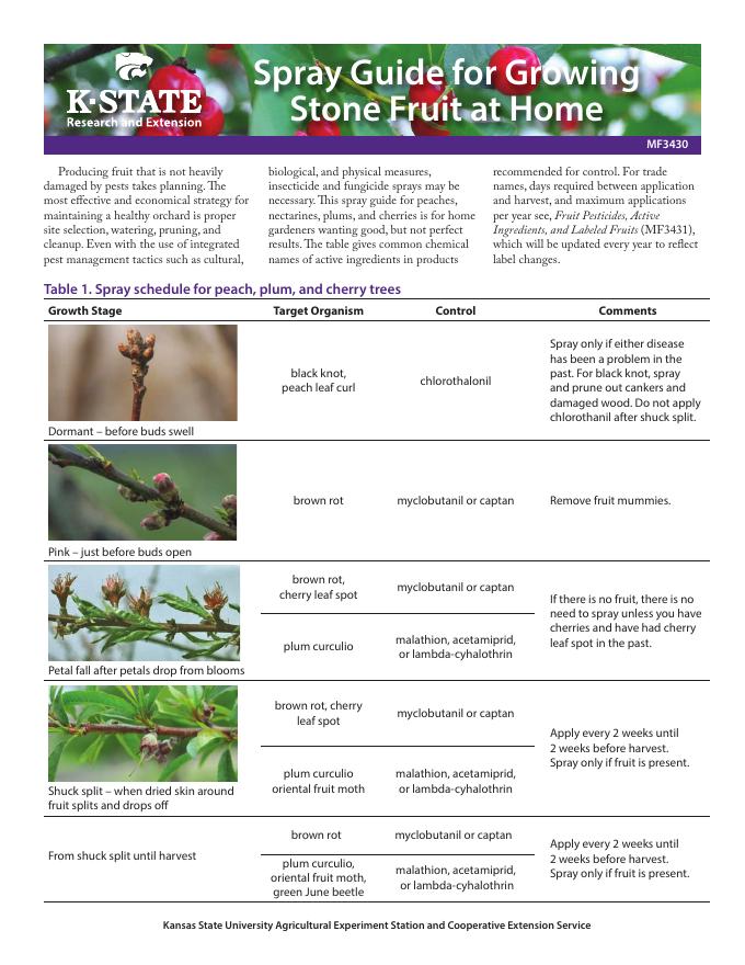 家中<em>种植</em>石果树的喷洒指南 海报