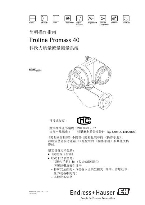 Proline Promass 40 科氏力质量流量测量系统简明操作指南