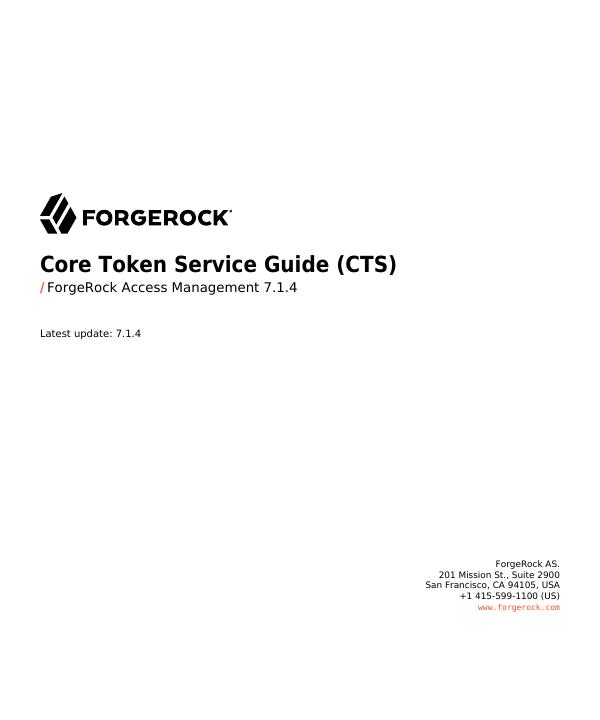 Core Token Service 指南