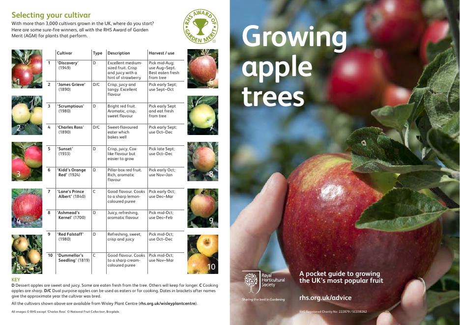 英国皇家园艺学会关于苹果树<em>种植</em>的建议指南 海报