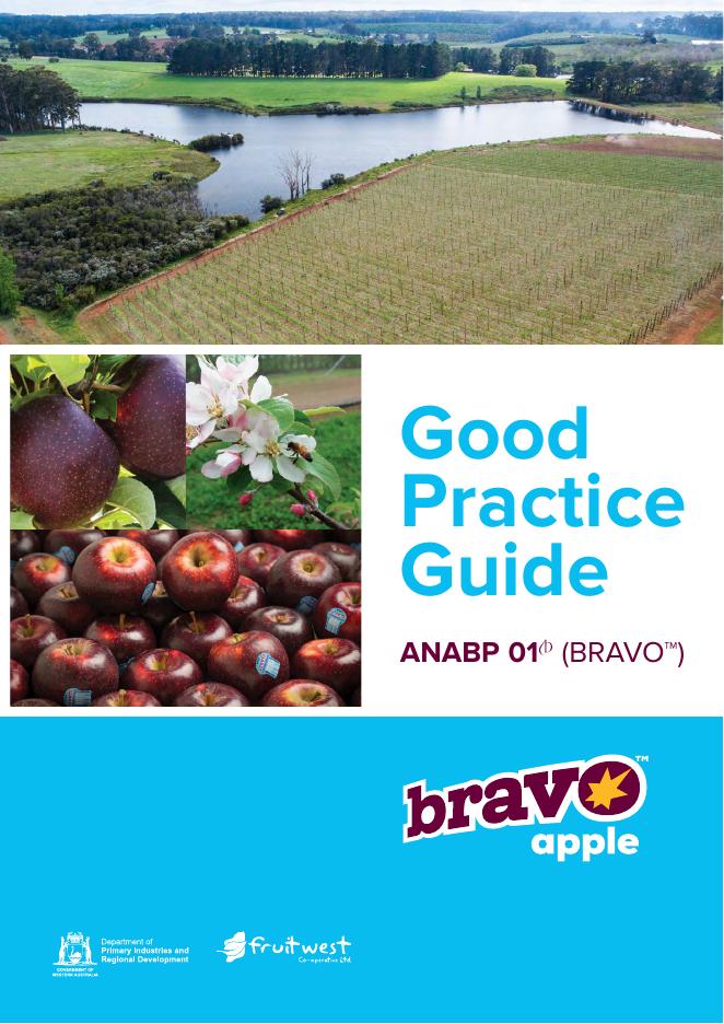 苹果<em>种植</em>指南 海报