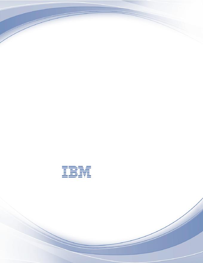 IBM Data Risk Manager 快速<em>入门</em>指南 海报