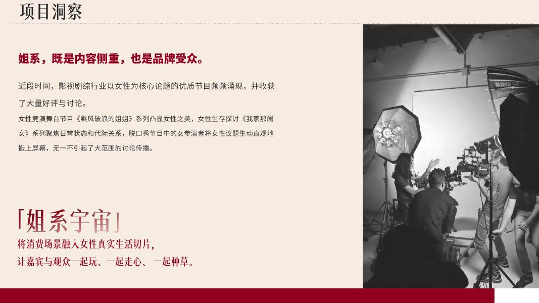 姐系宇宙市场营销传播方案_第8页