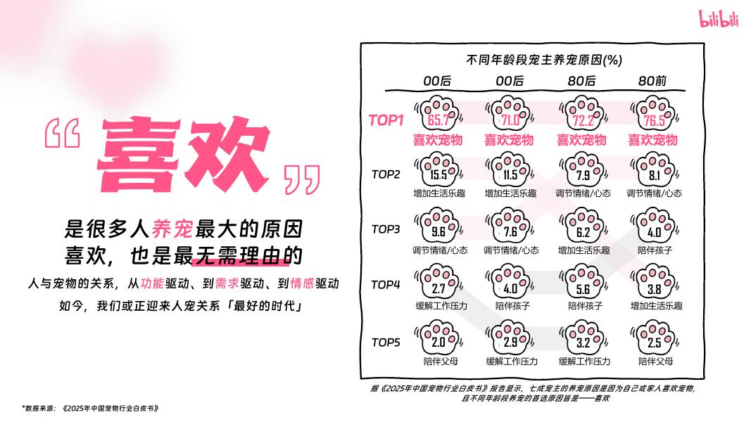 2025年宠物行业营销通案海报
