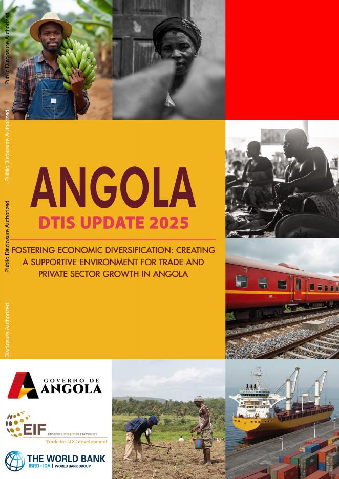 世界银行：2025年安哥拉DTIS更新-促进经济多样化报告（英文版）海报