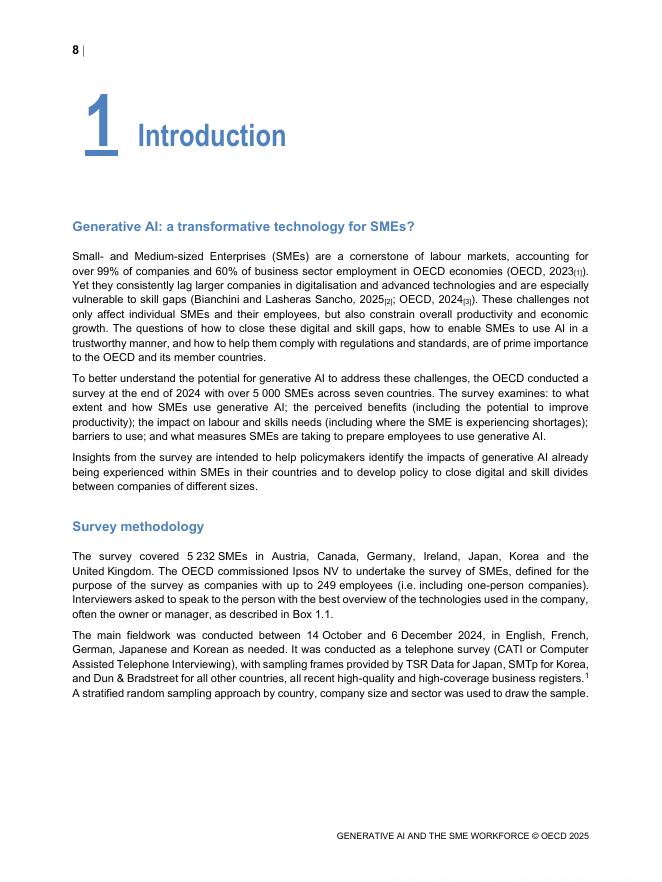OECD经合组织：2025年生成式人工智能与中小企业劳动力研究报告（英文版）_第10页