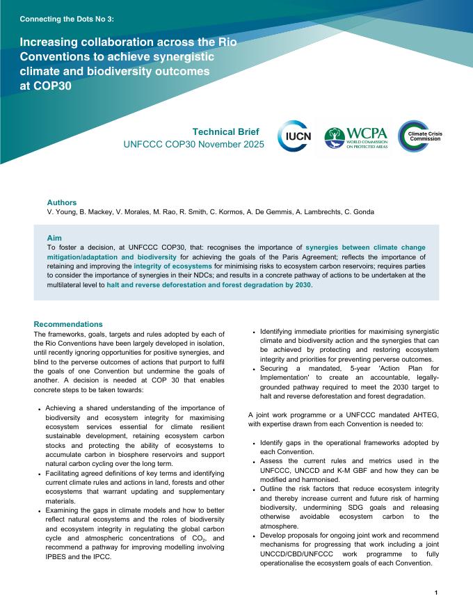 世界自然保护联盟IUCN：2025年加强里约公约间的合作，以在COP30上实现协同的气候和生物多样性成果报告（英文版）海报