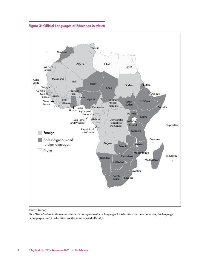 加拿大国际治理创新中心CIGI：2025年人工智能和语言数据在非洲的爆发：应对低资源挑战政策简报（英文版）_第6页