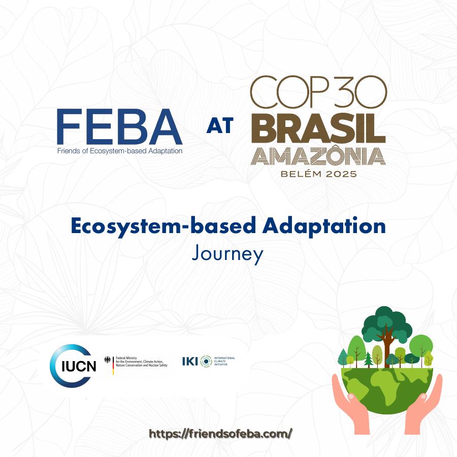 世界自然保护联盟IUCN：2025年基于生态系统的适应旅程报告（英文版）海报