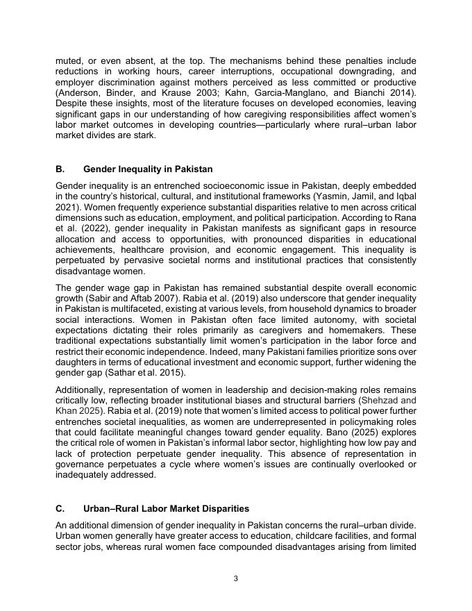 ADB亚洲开发银行：女性的育儿成本更高吗？巴基斯坦性别收入差距研究（英文版）_第7页