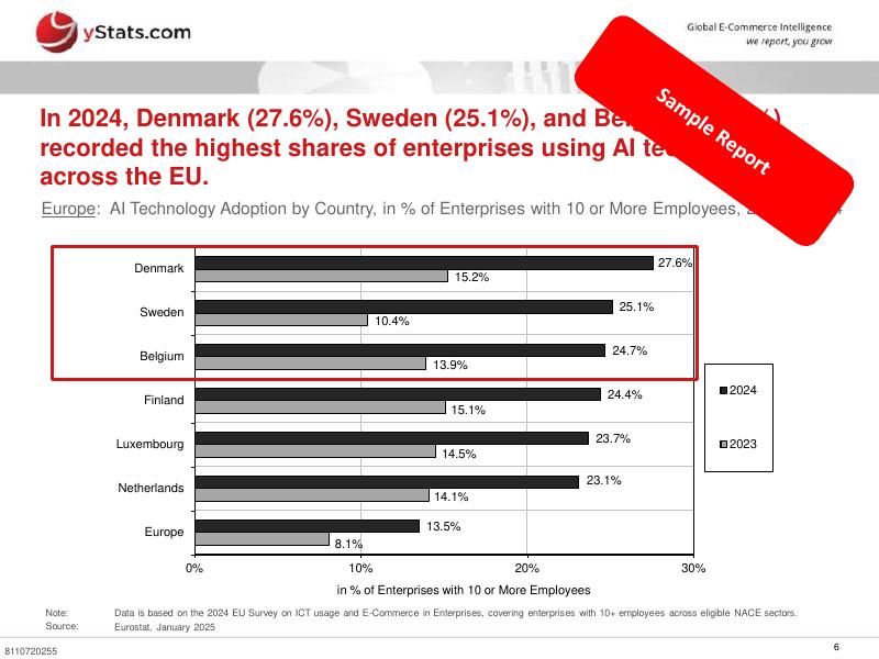 yStats：2025年全球汇编：第3卷欧洲的电子商务、支付和人工智能转型样本报告（英文版）_第6页