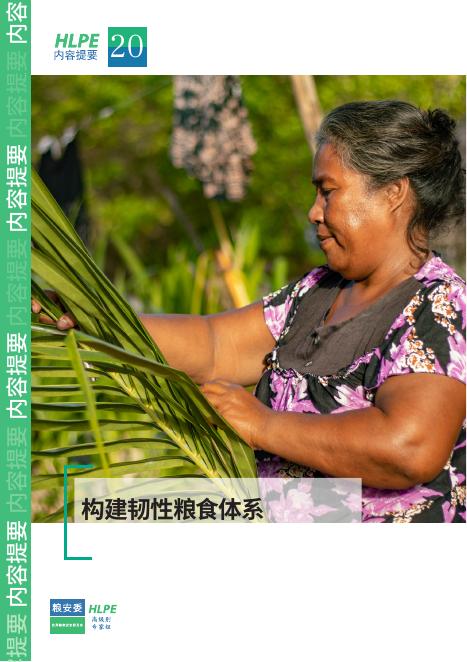 联合国粮农组织（FAO）：2025年构建韧性粮食体系研究报告海报