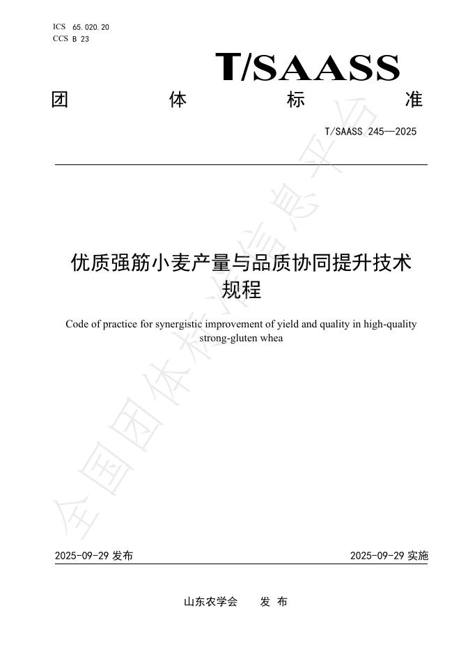T/SAASS 245-2025 优质强筋小麦产量与品质协同提升技术规程