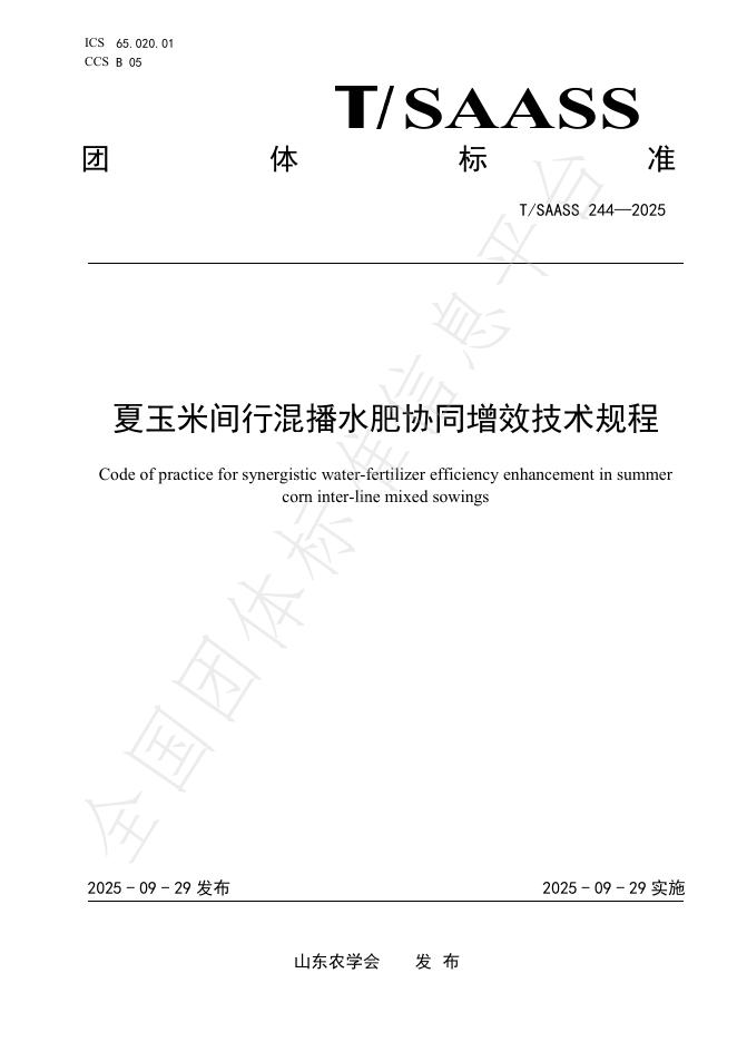 T/SAASS 244-2025 夏玉米间行混播水肥协同增效技术规程