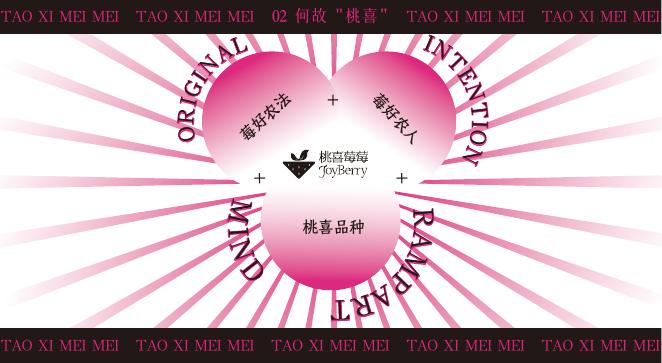 桃喜莓莓品牌手册_第6页