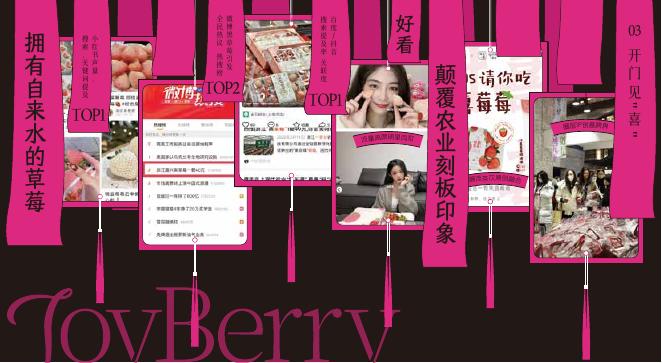 桃喜莓莓品牌手册_第7页