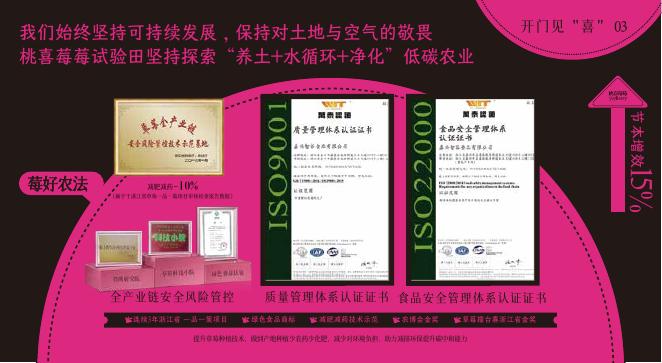 桃喜莓莓品牌手册_第9页