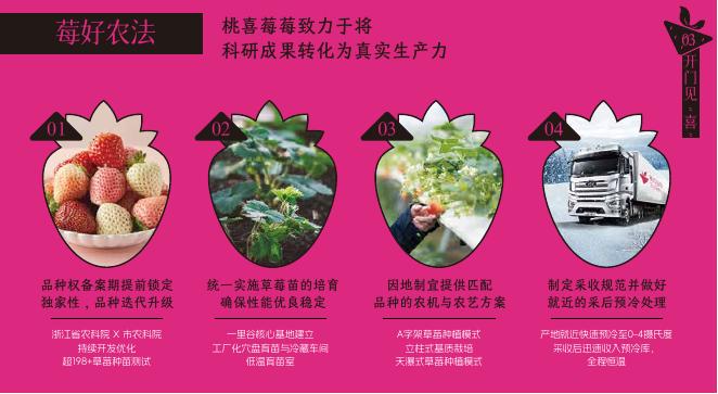 桃喜莓莓品牌手册_第10页