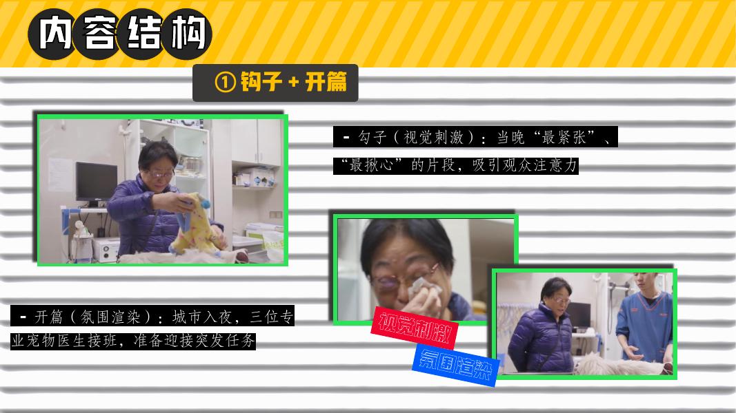 哔哩哔哩：深夜宠物急诊室招商方案_第9页