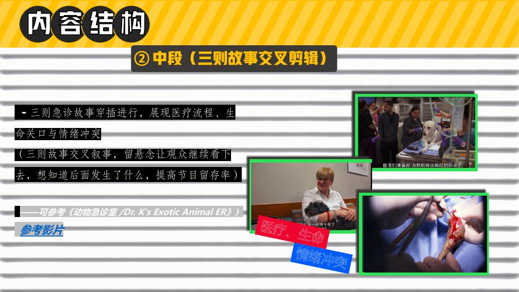 哔哩哔哩：深夜宠物急诊室招商方案_第10页