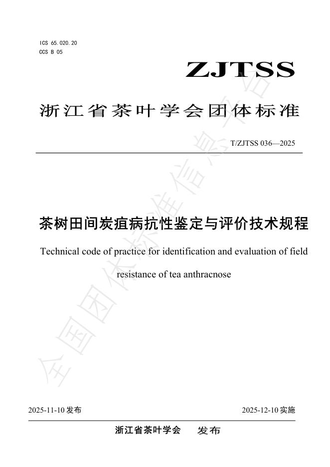 T/ZJTSS 036-2025 茶树田间炭疽病抗性鉴定与评价技术规程