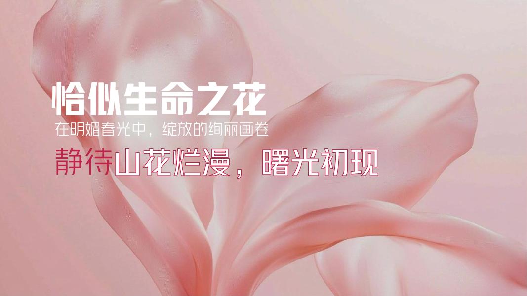 诺亚生物2026新春年会盛典生活服务策划案_第6页