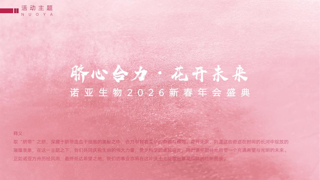 诺亚生物2026新春年会盛典生活服务策划案_第7页