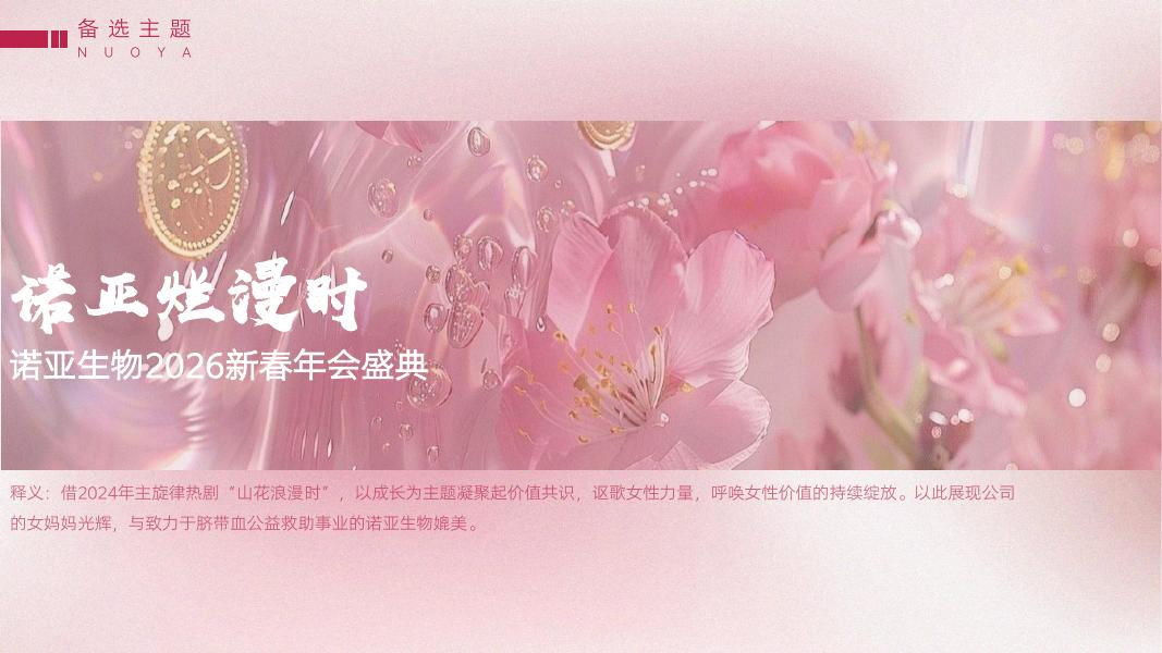 诺亚生物2026新春年会盛典生活服务策划案_第9页