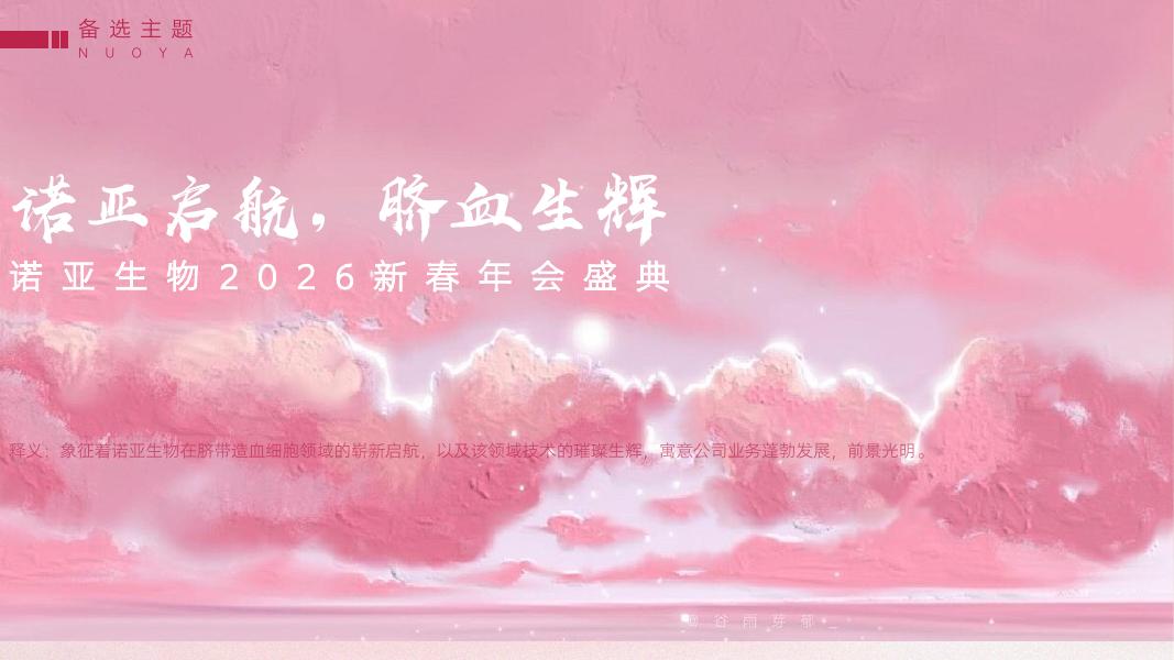 诺亚生物2026新春年会盛典生活服务策划案_第10页