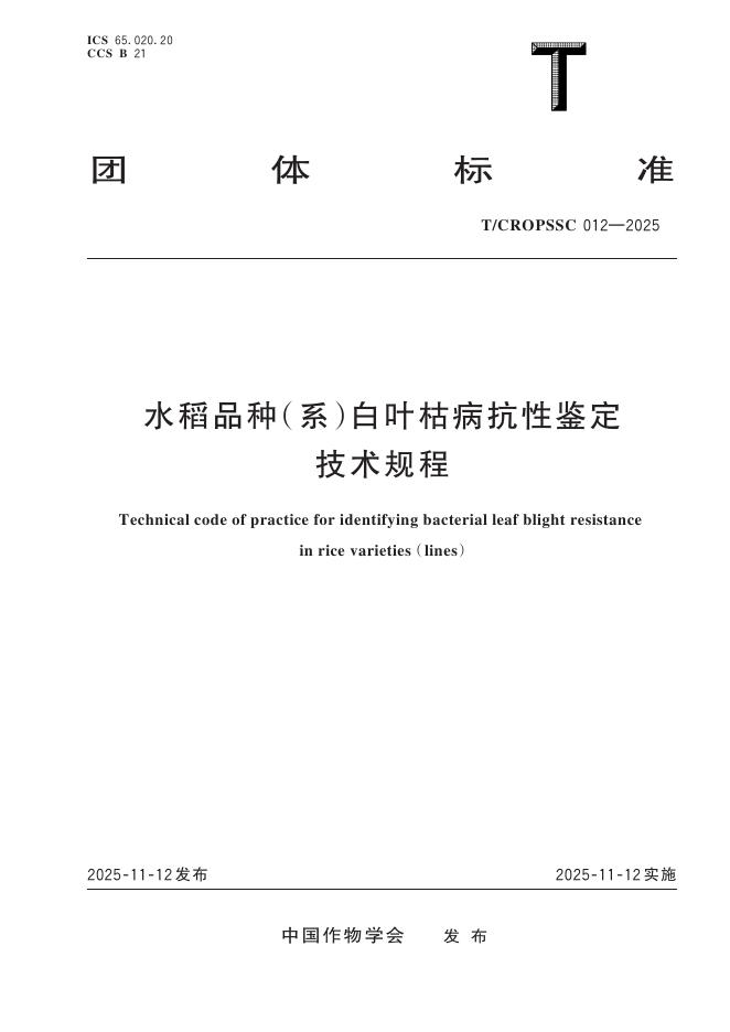 T/CROPSSC 012-2025 水稻品种（系）白叶枯病抗性鉴定技术规程