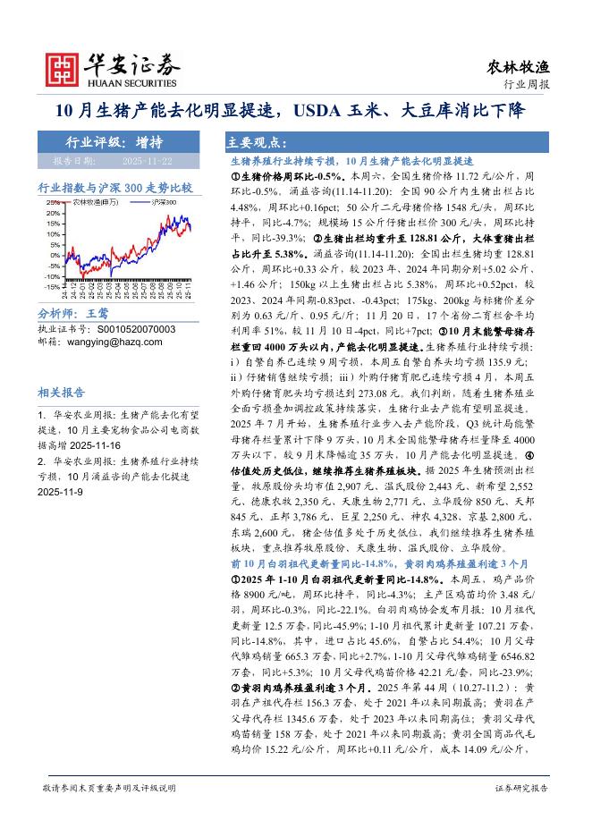 华安证券：农林牧渔行业周报：10月生猪产能去化明显提速，USDA玉米、大豆库消比下降海报