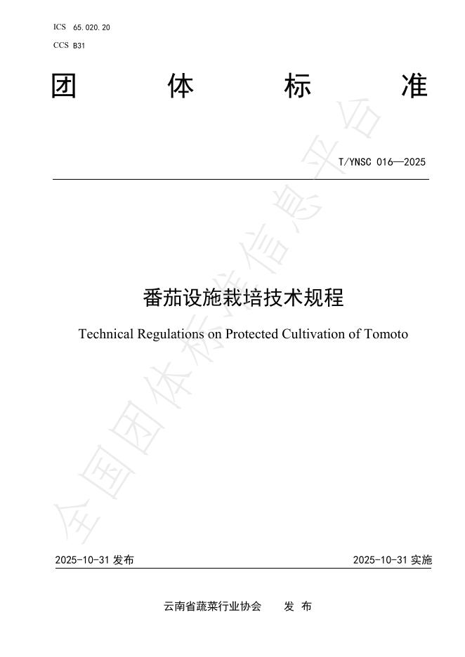 T/YNSC 016-2025 番茄设施栽培技术规程