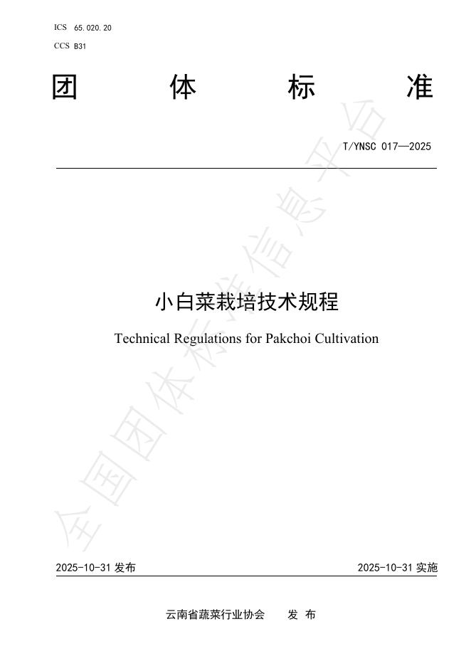 T/YNSC 017-2025 小白菜栽培技术规程