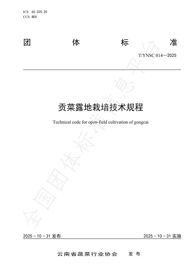 T/YNSC 014-2025 贡菜露地栽培技术规程