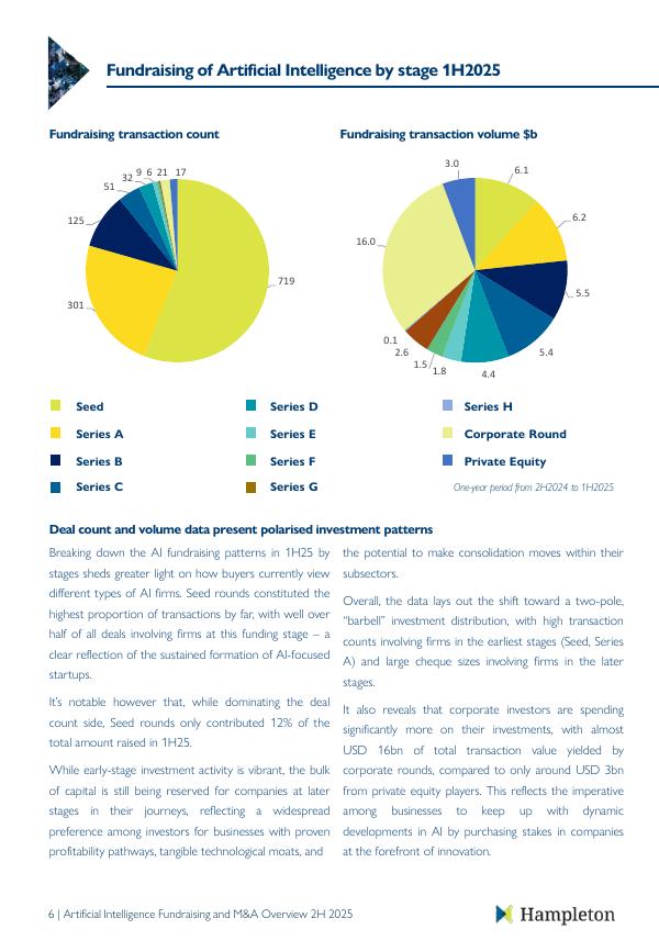 Hampleton：2025年下半年人工智能投融资和并购市场报告（英文版）_第7页