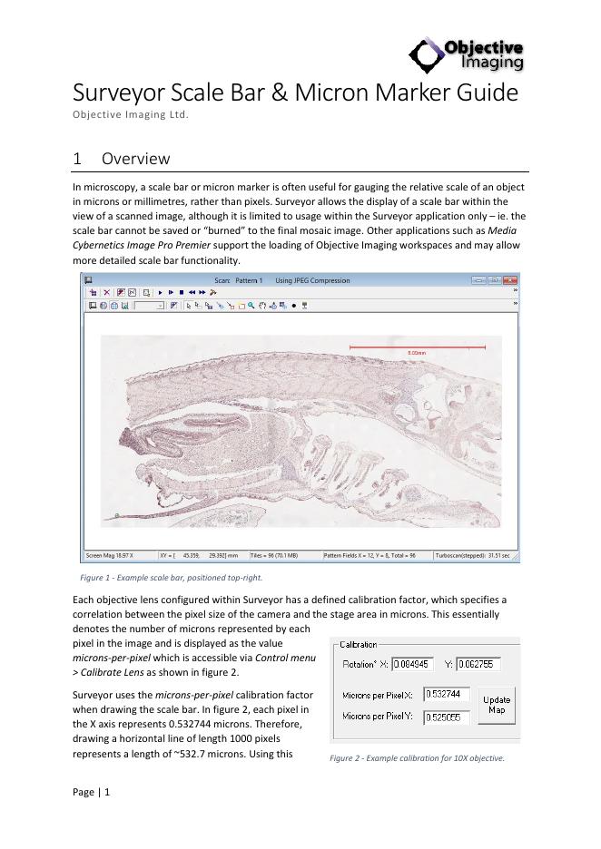 Surveyor使用刻度条