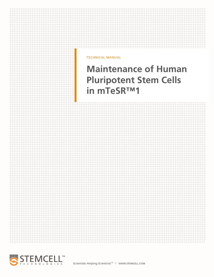 mTeSR™1多潜能干细胞培养基使用手册