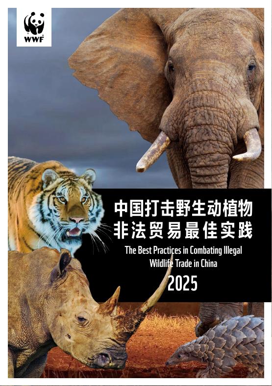 WWF世界自然基金会：2025年中国打击野生动植物非法贸易最佳实践报告海报