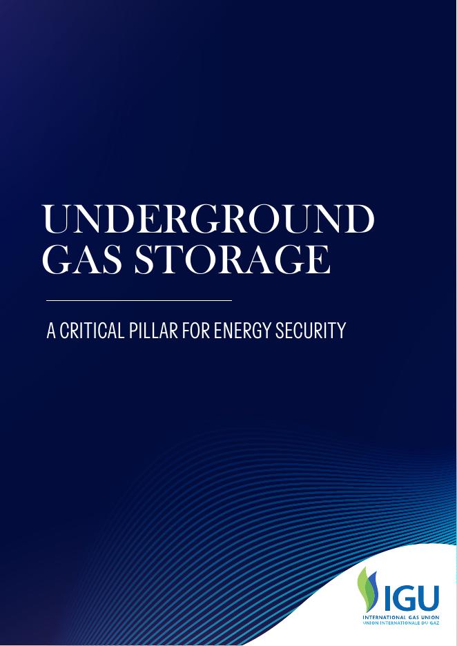 国际气体联盟IGU：2025年地下储气库：能源安全的关键支柱研究报告（英文版）