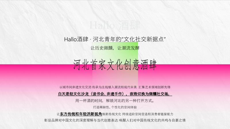Hallo2025年酒肆品牌营销推广方案_第5页